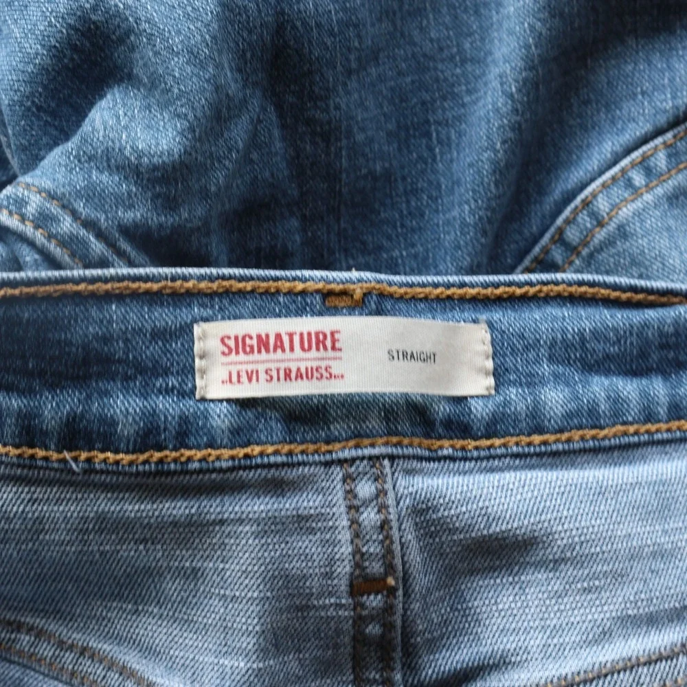 Levis levi strauss